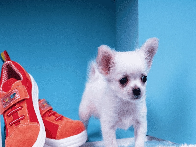 武汉代怀最好医院,泰国试管价格高吗？-武汉有没有供卵机构_武汉供卵试管医院